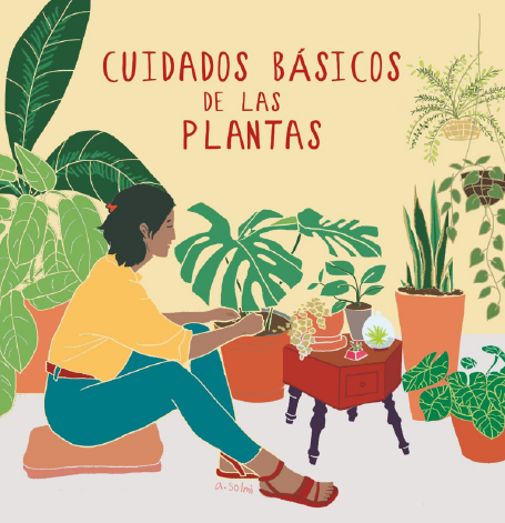 Quetzal Cursos Online IMG 1