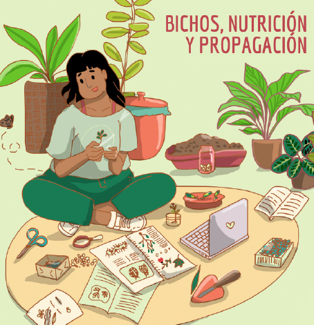 Quetzal Cursos Online IMG 2