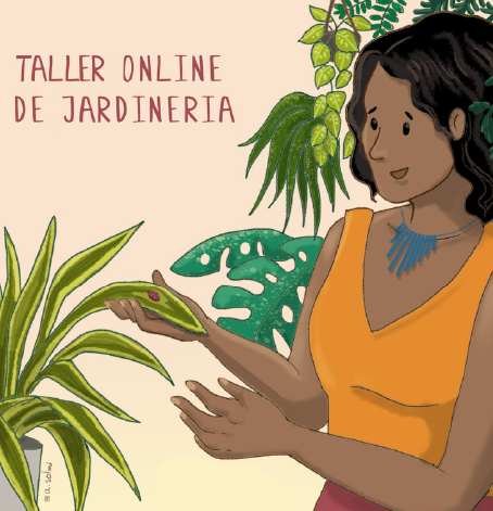 Quetzal Cursos Online IMG 4